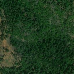 Satellite imagery of Fields Ridge, US