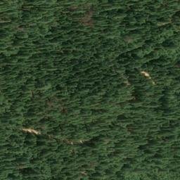 Satellite imagery of Gold Point Mine, US