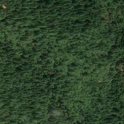 Satellite imagery of Gold Point Mine, US
