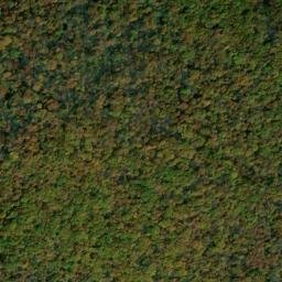 Satellite imagery of Dog Ridge, US