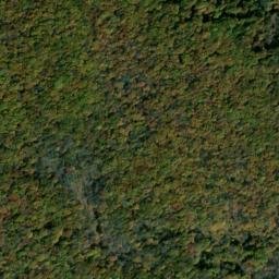 Satellite imagery of Dog Ridge, US