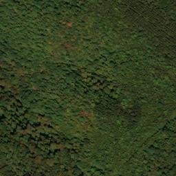Satellite imagery of Warnick Point, US