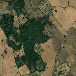 Satellite imagery of survey_point, ES