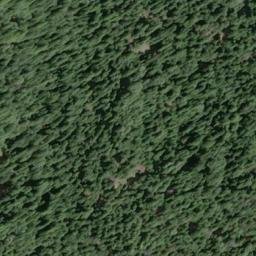 Satellite imagery of Bucha Ridge, US