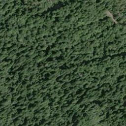 Satellite imagery of Bucha Ridge, US