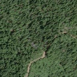 Satellite imagery of Bucha Ridge, US