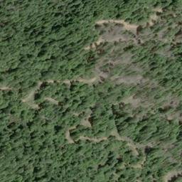 Satellite imagery of Bucha Ridge, US