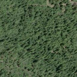 Satellite imagery of Bucha Ridge, US