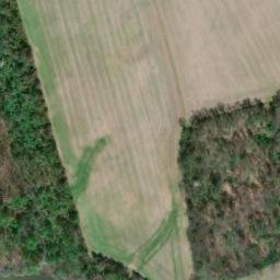 Satellite imagery of Shipley Point, US