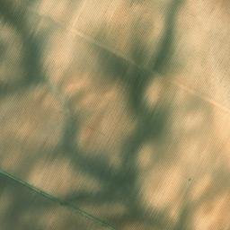 Satellite imagery of survey_point, ES