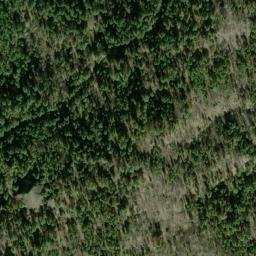 Satellite imagery of Panther Ridge, US