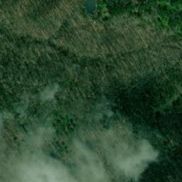 Satellite imagery of Williams Ridge, US