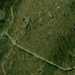 Satellite imagery of Piney Point, US