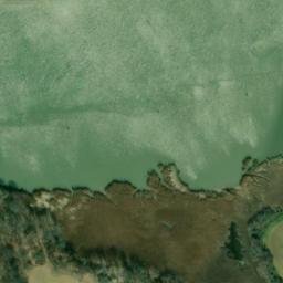 Satellite imagery of Biddle Point, US
