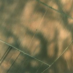Satellite imagery of survey_point, ES