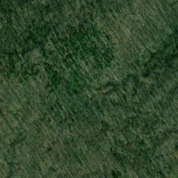 Satellite imagery of Williams Ridge, US