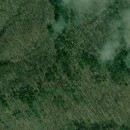 Satellite imagery of Williams Ridge, US