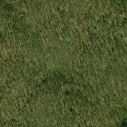 Satellite imagery of Piney Point, US