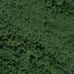 Satellite imagery of Neff Ridge, US