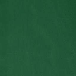 Satellite imagery of Roach Point, US