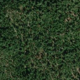 Satellite imagery of Golden Bear Mine, US