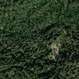 Satellite imagery of Golden Bear Mine, US