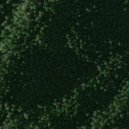 Satellite imagery of Race Track Point, US