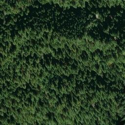 Satellite imagery of Golden Bear Mine, US