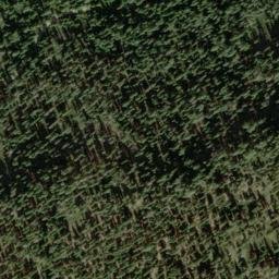 Satellite imagery of Golden Bear Mine, US