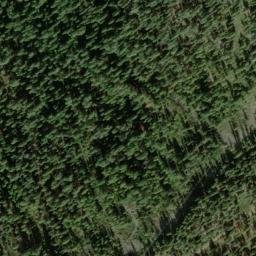 Satellite imagery of Ruby Bluff, US