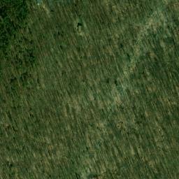 Satellite imagery of Piney Ridge, US