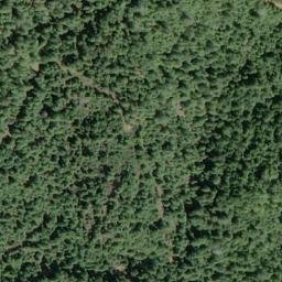 Satellite imagery of Lake Ridge, US