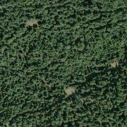 Satellite imagery of Lake Ridge, US