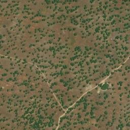 Satellite imagery of survey_point, PT