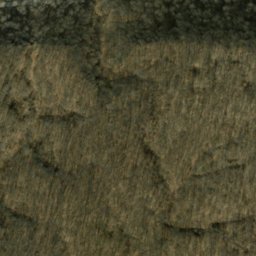 Satellite imagery of Blue Bluff, US