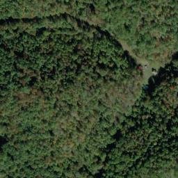 Satellite imagery of C 137 — NGS JX0422 — Tyler County, US, US