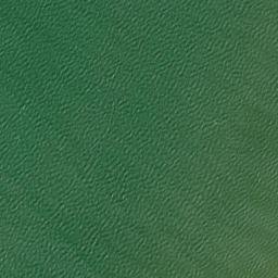 Satellite imagery of Rocky Point, US