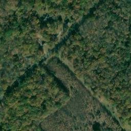 Satellite imagery of Timber Neck, US
