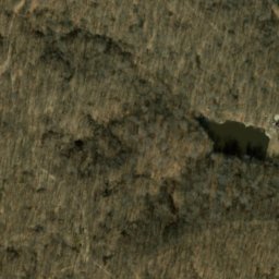 Satellite imagery of Blue Bluff, US