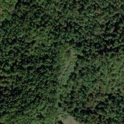 Satellite imagery of D 137 — NGS JX0423 — Tyler County, US, US