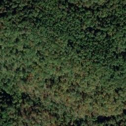 Satellite imagery of D 137 — NGS JX0423 — Tyler County, US, US