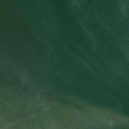 Satellite imagery of Plum Point, US