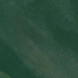 Satellite imagery of Plum Point, US