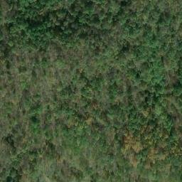 Satellite imagery of G 140 — NGS JX0332 — Tyler County, US, US