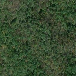 Satellite imagery of G 140 — NGS JX0332 — Tyler County, US, US