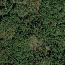 Satellite imagery of C 137 — NGS JX0422 — Tyler County, US, US