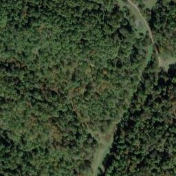 Satellite imagery of C 137 — NGS JX0422 — Tyler County, US, US