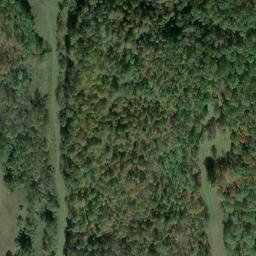 Satellite imagery of F 137 — NGS JX0425 — Tyler County, US, US