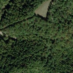 Satellite imagery of E 137 — NGS JX0424 — Tyler County, US, US