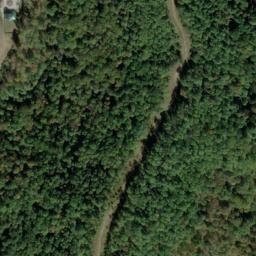 Satellite imagery of D 137 — NGS JX0423 — Tyler County, US, US